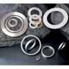 Metal Gasket (CXG-12)