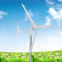 600W wind turbine for cooking