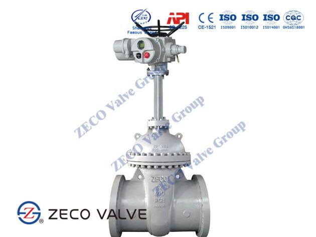 Motorized Gate Valve
