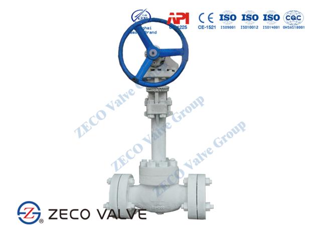 Globe Valve / Check Valve		