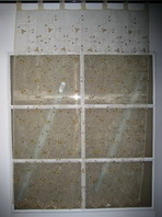 curtain fabric----embroidery