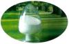 Sorbitol