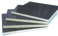 veneer