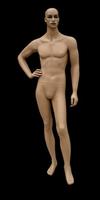 male mannequin