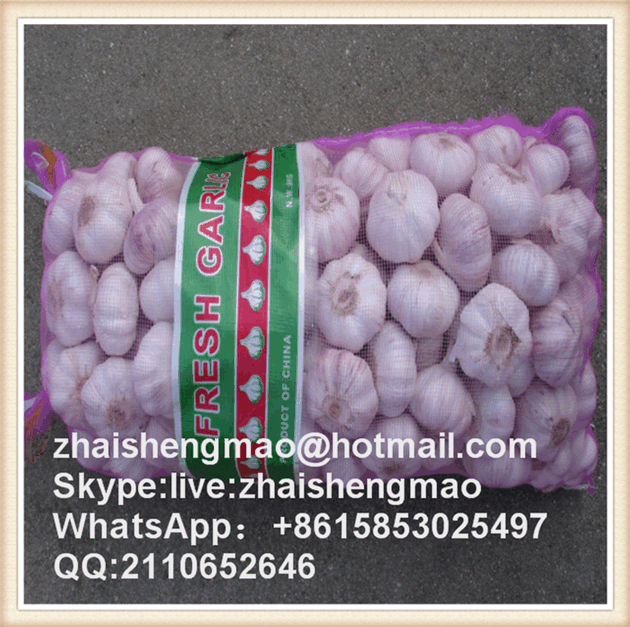 pe mesh bag for packing ginger ,garlic ,onion