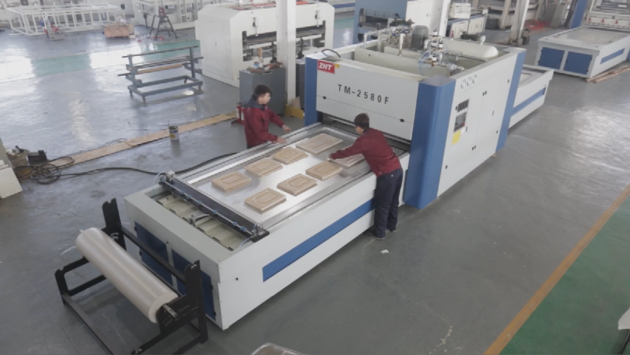 TM2580F M&Aacute;QUINA DE PRENSA DE MEMBRANA DE VAC&Iacute;O NEGATIVA Y POSITIVA CHINA