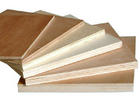 birch plywood