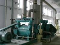 2BE and 2BV vacuum pump system for PVC, Pharmacy, paper mill, steel plant, mining
