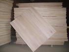 paulownia blockboard