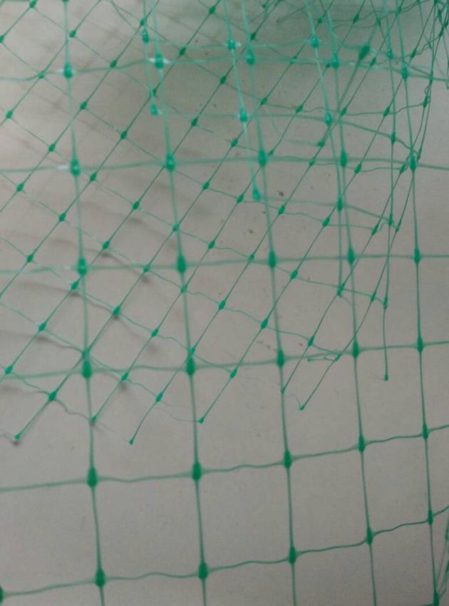 Turf reinforcement plastic net grass harvest field sod netting bi-oriented BOP net 