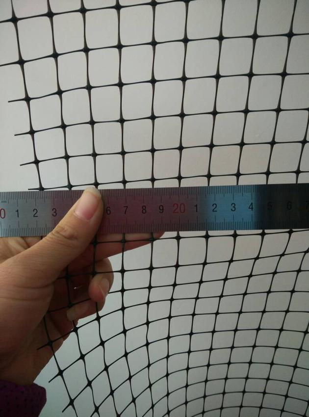 PP+ UV bird netting /anti mole net plastic mesn fence netting in multipurposed
