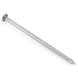 common iron Nails
