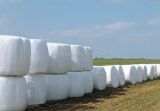 Grass Silage Film