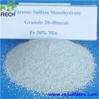 Ferrous sulfate  monohydrate