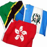 flag print
