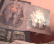 egption papyrus