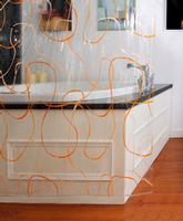 shower curtain