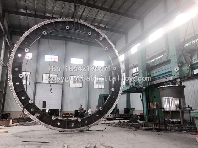 Dryer ring gear Factory
