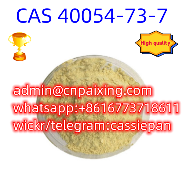 Hot sale CAS 40054-73-7 Deschloroetizolam