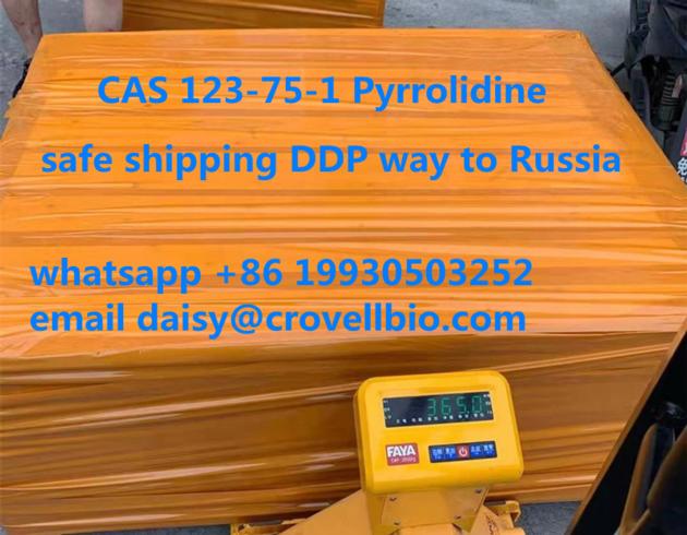 CAS 123 75 1 Pyrrolidine Supplier
