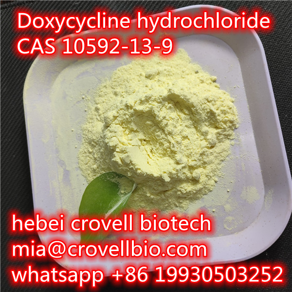 Doxycycline hydrochloride CAS 10592-13-9 supplier in China