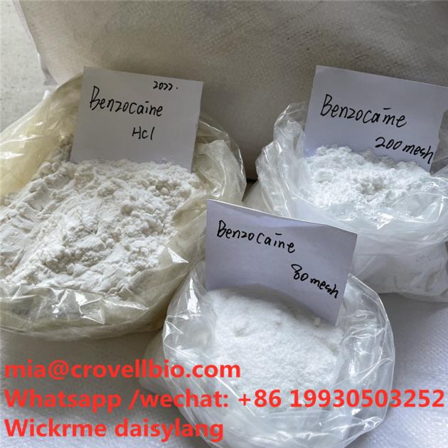 Procaine Supplier In China