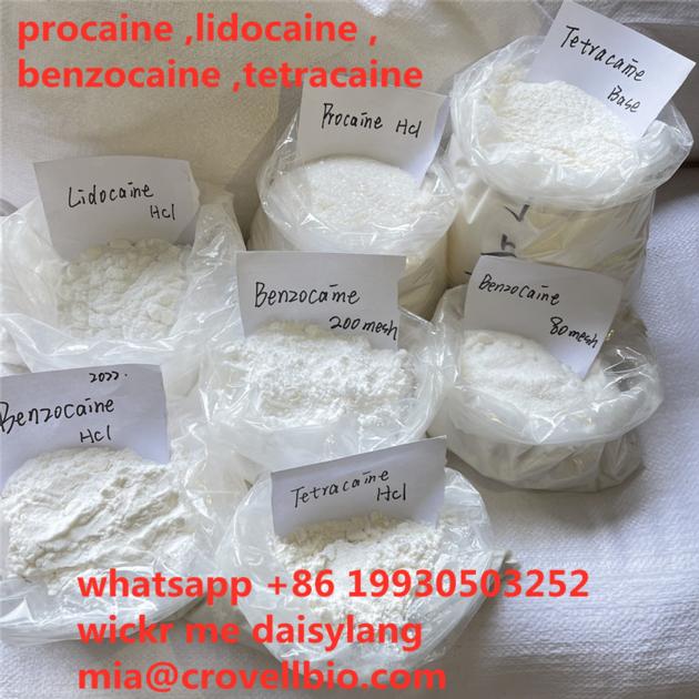 Procaine Supplier In China
