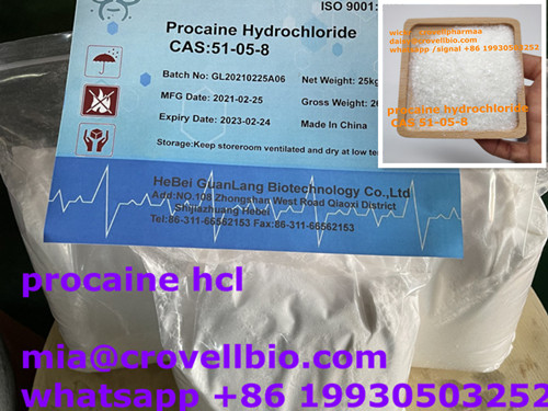 Procaine Supplier In China