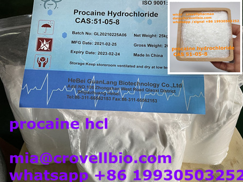 Procaine Supplier In China