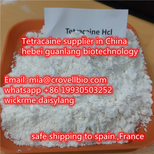 Tetracaine CAS 136-47-0 supplier in China 