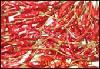 capsaicin, capsaicine