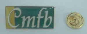 lapel pin