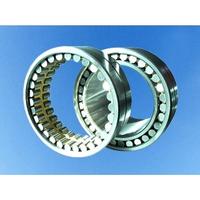 Double Row Cylindrical Roller Bearing 
