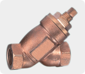 Strainer Valves