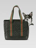 Pet bag