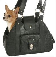 Luxury Dog bag