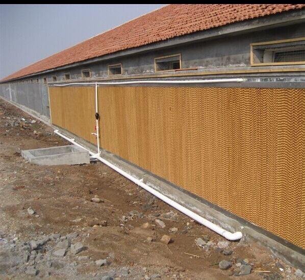 Ventilation Equipment For Poultry House