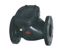 check valve