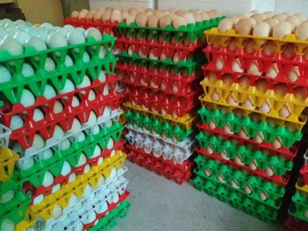 Plastic egg tray for chicken eggs 30 holes