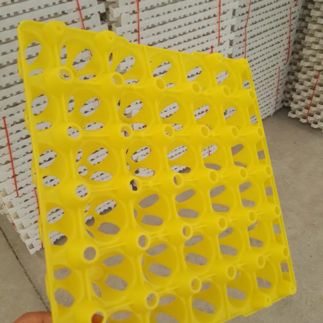 Plastic Egg Tray For Chicken Eggs