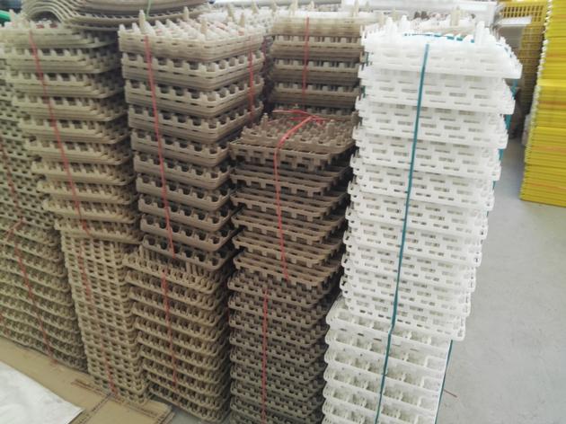 Duck Egg Tray 30 Holes