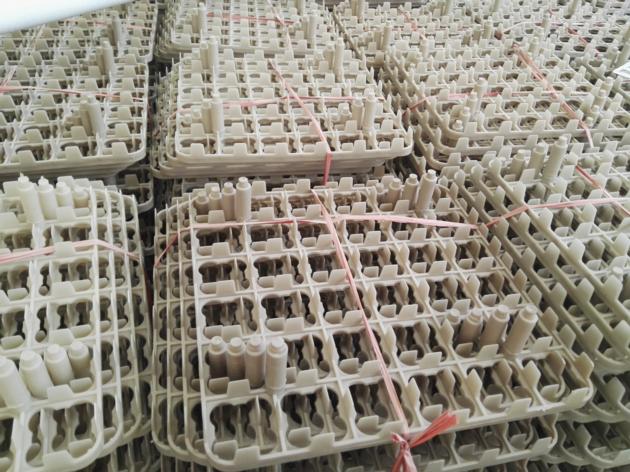 Chicken Plastic Egg Tray 42 Holes