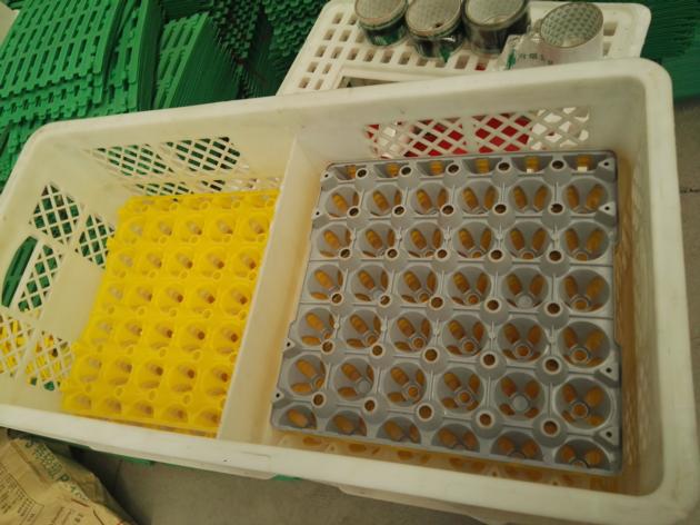 egg transportation crates