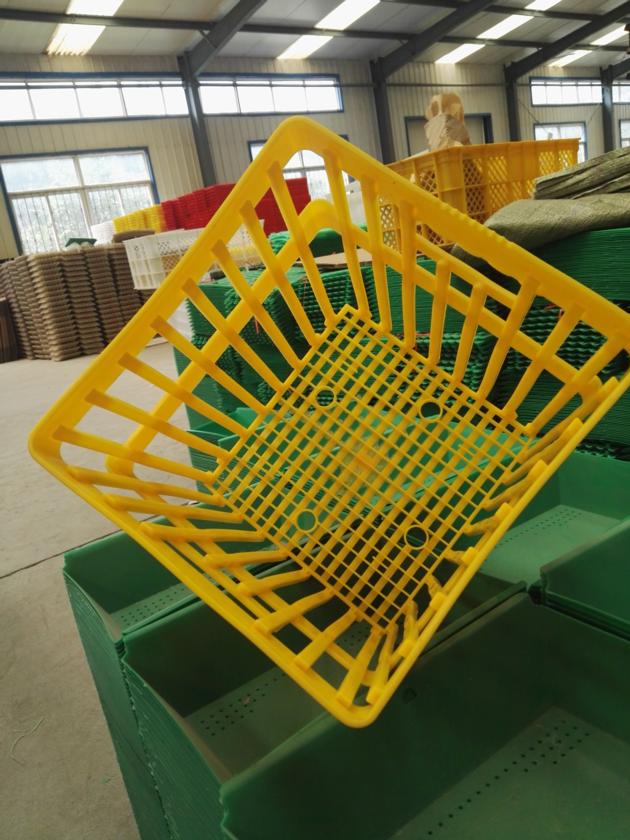 Plastic Crates For Egg Transportation 180