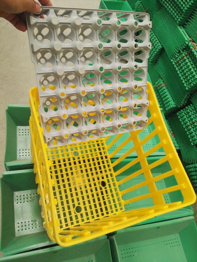 Plastic Crates For Egg Transportation 180