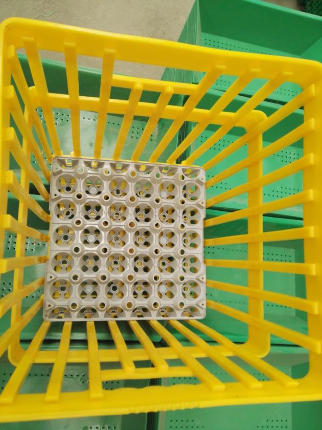 Plastic Crates For Egg Transportation 180