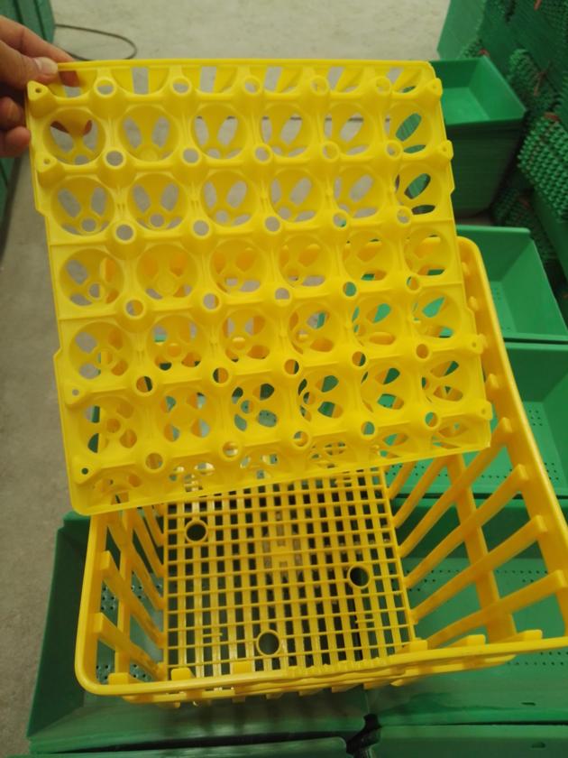 Plastic Crates For Egg Transportation 180