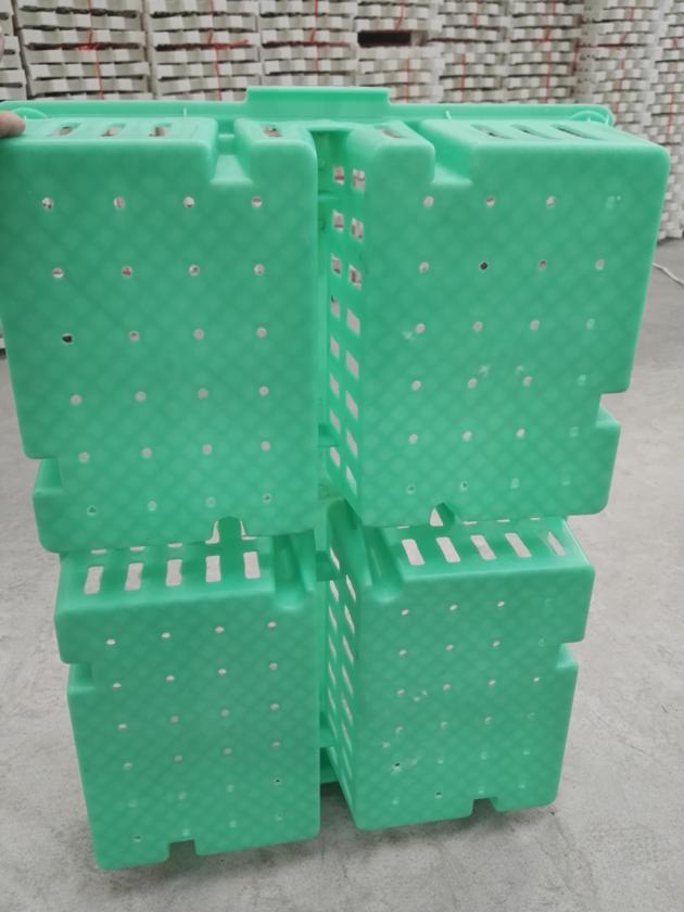 Baby Chicks Crates Plastic Coops