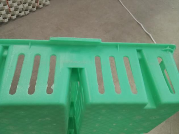 Baby Chicks Crates Plastic Coops