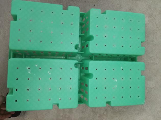 Baby Chicks Crates Plastic Coops